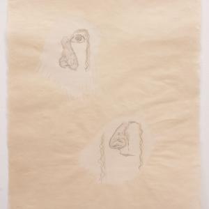 


BIG NOSE, 2019. Gouache y grafito sobre papel japons. 52 x 42.5 cm. JH-0035


