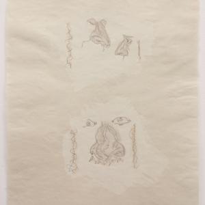 


BIG NOSE, 2019. Gouache y grafito sobre papel japons. 52 x 42.5 cm. JH-0036


